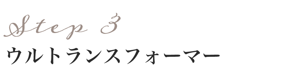 step3 ウルトランスフォーマー